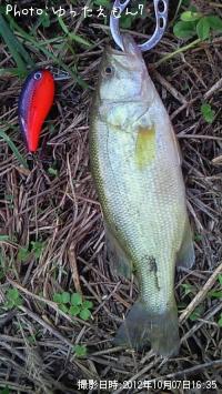 ���⡼��ޥ���