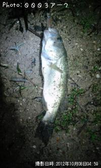 �֥�å��Х�