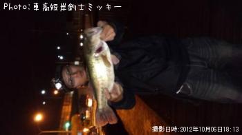 �֥�å��Х�