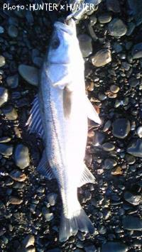 �����Х�