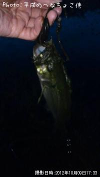 �֥�å��Х�