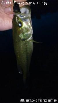 �֥�å��Х�