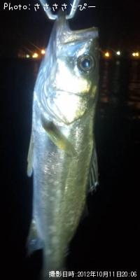 ��Х�������Х�