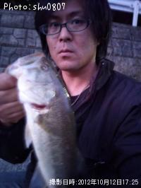 �֥�å��Х�