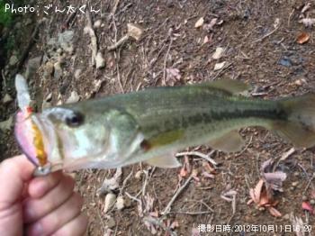 �֥�å��Х�