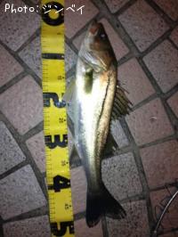 �����Х�