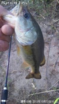 �֥�å��Х�