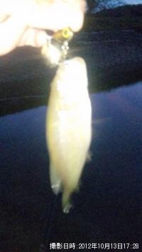 �֥�å��Х�