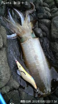 �����ꥤ��