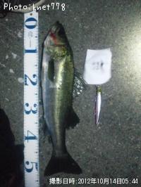 �����Х�