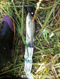 ¥Ö¥é¥Ã¥¯¥Ð¥¹