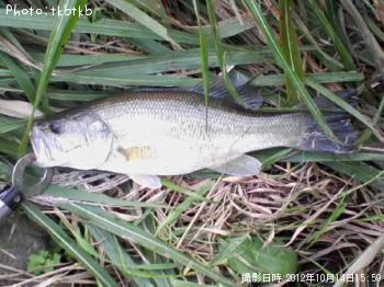 �֥�å��Х�