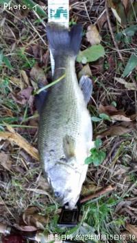 ¥Ö¥é¥Ã¥¯¥Ð¥¹