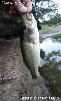 �֥�å��Х�