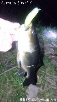 �֥�å��Х�