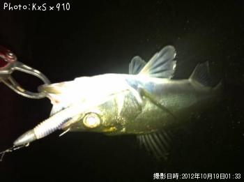 �����Х�