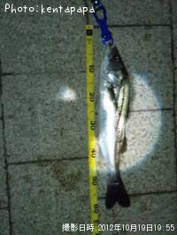 �����Х�