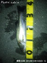 �����Х�