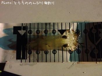 ���ӥ���