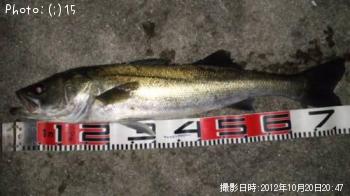 �����Х�