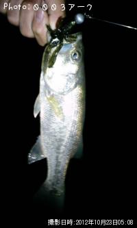 �֥�å��Х�