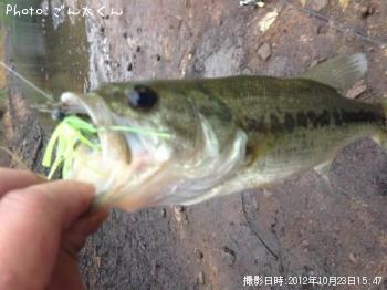 �֥�å��Х�