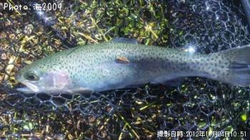 ¥ì¥¤¥ó¥Ü¡¼¥È¥é¥¦¥È