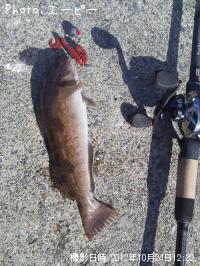 �����ʥ�