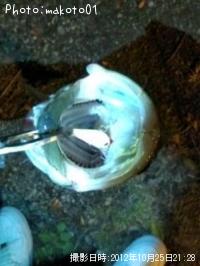 �����Х�