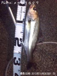 �����Х�