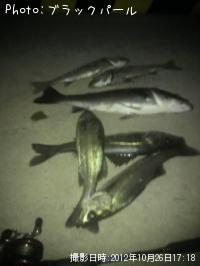 �����Х�