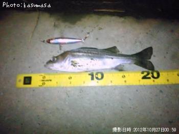 �����Х�