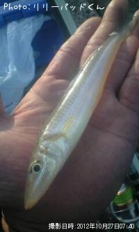 �ѡ���ԥ󥯤ε��ؿ�