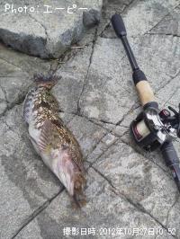 �����ʥ�