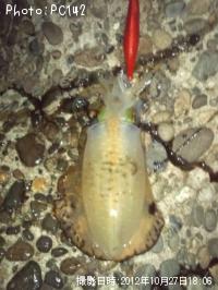 �����ꥤ��