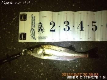 �����Х�