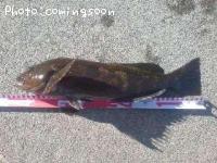 �����ʥ�