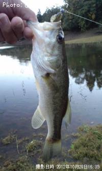 ¥Ö¥é¥Ã¥¯¥Ð¥¹