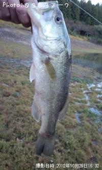 ¥Ö¥é¥Ã¥¯¥Ð¥¹