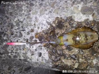 �����ꥤ��