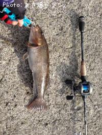 �����ʥ�