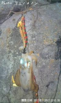 ¥¢¥ª¥ê¥¤¥«