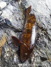 �����ʥ�