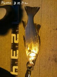 �����Х�