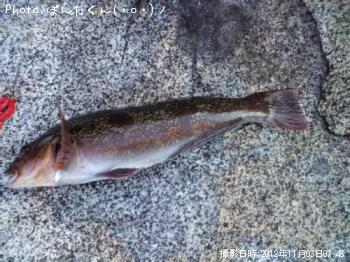 �����ʥ�