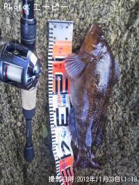 �����ʥ�