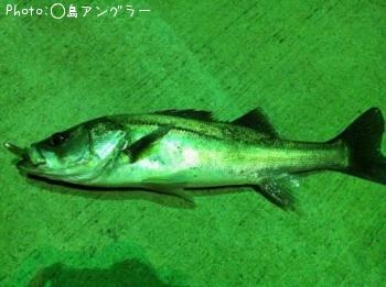 �����Х�