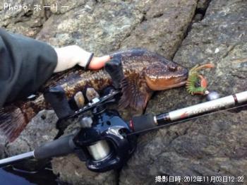 �����ʥ�