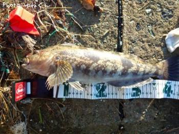 �����ʥ�