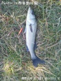 �����Х�